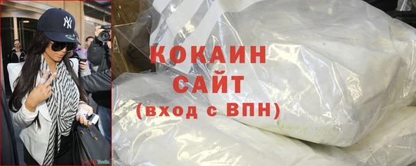 PSILOCYBIN Белокуриха