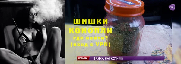 PSILOCYBIN Белокуриха