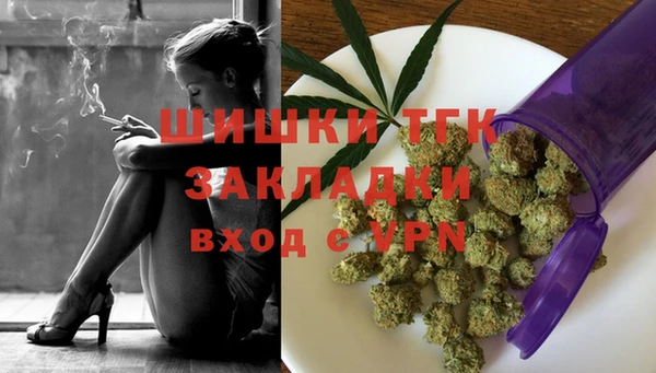 PSILOCYBIN Белокуриха