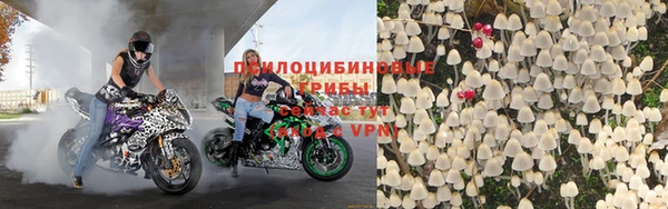 ПСИЛОЦИБИНОВЫЕ ГРИБЫ Беломорск