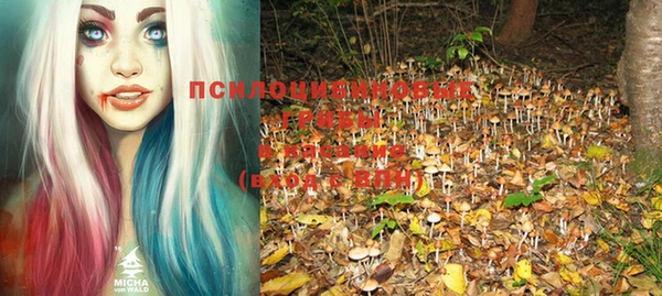 PSILOCYBIN Белокуриха
