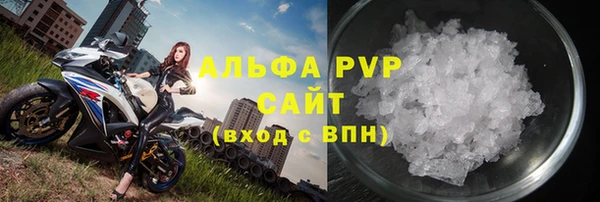 PSILOCYBIN Белокуриха